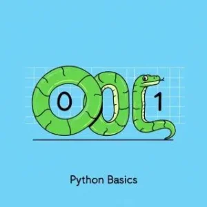 Python Basics