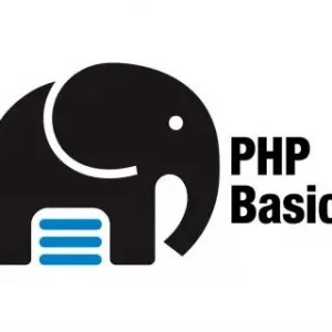 Developing Web Applications Using ASP.NET